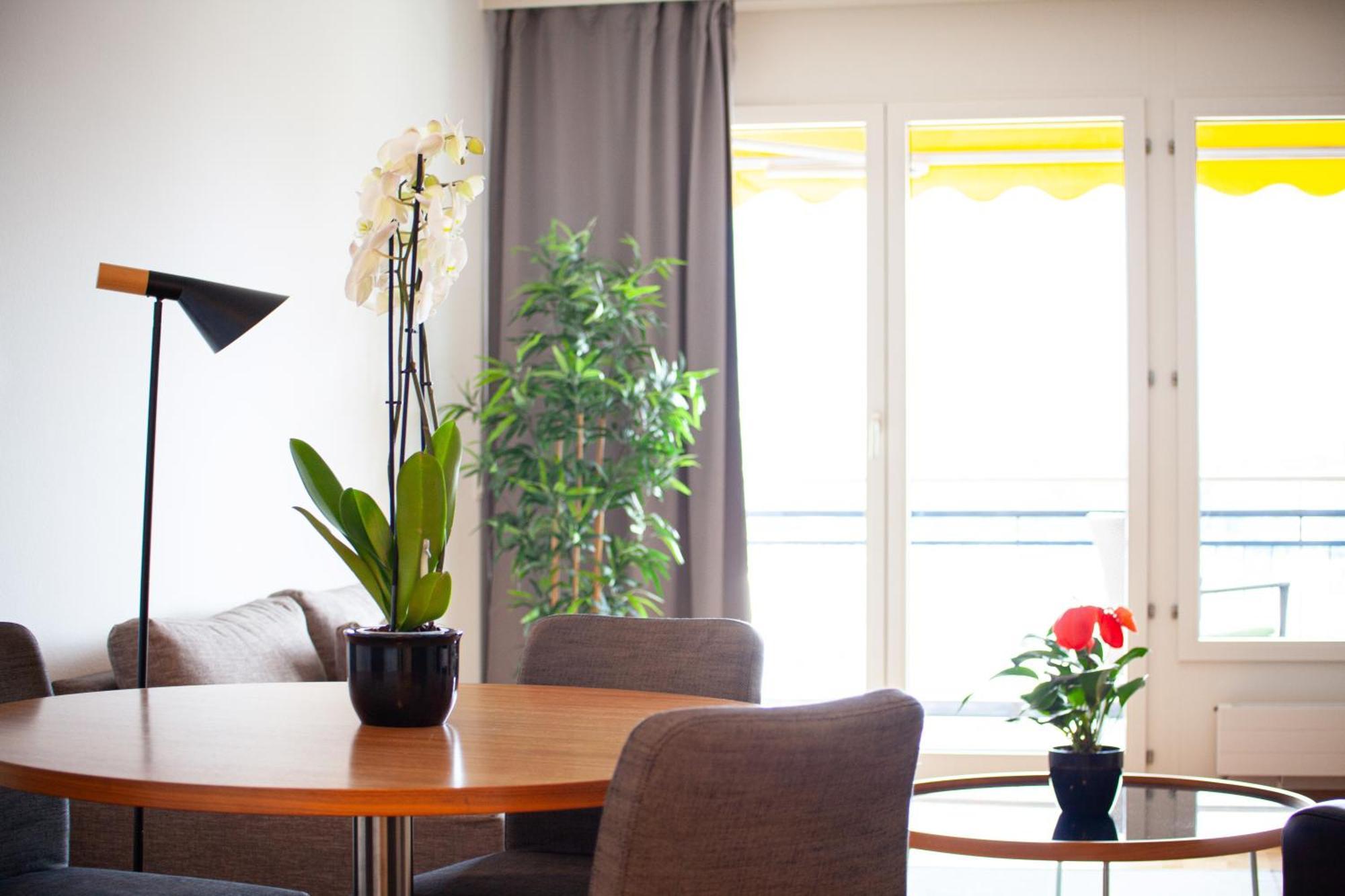 Tertianum Residenza Al Parco Appartements & Restaurant Muralto 外观 照片